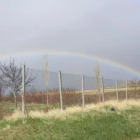 فروش باغ 2700متری ویهج ، جاده مابین ویهج و سراب