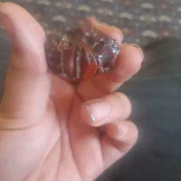 سنگ