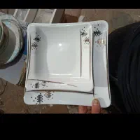 حراج چینی توس و آرکوپال مقصود