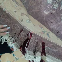 دو عدد فرش جفت نیستن طرح هاشون فرق میکنه|فرش|رباط‌کریم, نصیرشهر|دیوار