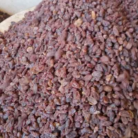 کشمش آفتابی اصل بوانات|خوردنی و آشامیدنی|شیراز, کوشک میدان|دیوار