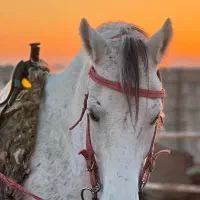 اسب سواری کوهدشت (مجموعه تفریحی)