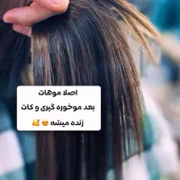 موخوره گیری تخصصی بدون کوتاهی قد مو فقط ۴۰۰