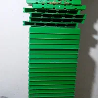 زنبور عسل