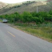 باغ گزنه|فروش زمین و ملک کلنگی|سنندج, |دیوار