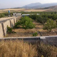 باغ شهر حسین آباد خان زنیان دشت ارژن|فروش زمین و ملک کلنگی|شیراز, شهرک جماران|دیوار