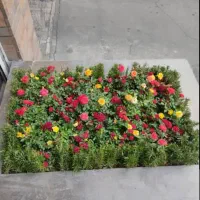 خدمات باغبانی ودرخت کاری کودهی هرسکاری تمام پردیس|خدمات باغبانی و درختکاری|پردیس, شهرک صنعتی خرمدشت فاز ۷|دیوار