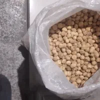 انجیرنوگوشتی بش استهبان لوکس گوشتی