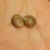 مهره قدیمی برای رفع مشکل رزق روزی