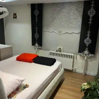 پرده زبرا ترک