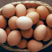 تخم مرغ محلی درجه یک