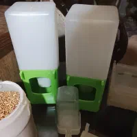 لوازم ضروری پرنده همه چیز موجوده حتی اسباببازی|لوازم جانبی حیوانات|مشهد, دانشجو|دیوار