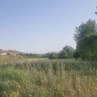 زمین سه نبش مناسب احداث باغ در