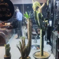 مغازه اجاره ای