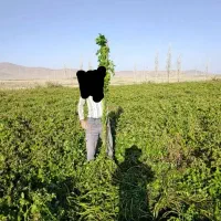 ۳۰ هکتار اجاره زمین