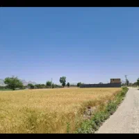 ۱۰۰۰ متر زمین کشاورزی باغ کنار جاده کانال تیربرق