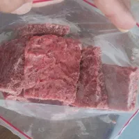 غذای گربه و سگ|لوازم جانبی حیوانات|بیرجند, |دیوار