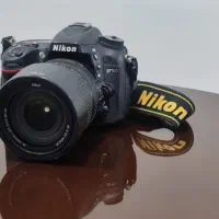 دوربین نیکون ۷۱۰۰ در حدنو