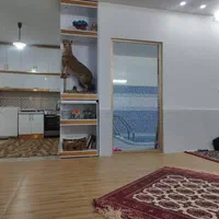 باغچه منزل ویلایی نقدی یا معاوضه 250متری|فروش خانه و ویلا|مشهد, گنبدواز|دیوار