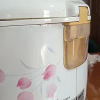 پلوپز سالم|اجاق گاز و لوازم برقی پخت‌وپز|رشت, پاستوریزه|دیوار