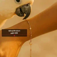 دستبندهای خوش وزن و کم اجرت طــلای علی|جواهرات|شوش, |دیوار