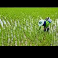 اکیب‌کارگرباسابقه‌وبشرط