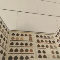کاتولوگ رنگ مو