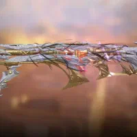 اکانت کالاف لول400|کنسول، بازی ویدئویی و آنلاین|یاسوج, |دیوار