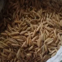 چلتوک برنج صدری دست چین