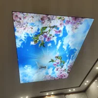 اجرای سقف کشسان ، حرفه‌ای، شیک و قیمت مناسب
