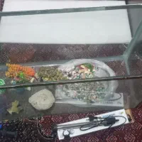 آکواریم|ماهی|خرمدره, |دیوار