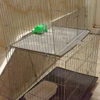 قفس پرنده