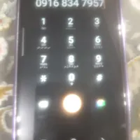 مدارک گمشده بنام داریوش همتی نیا