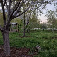 باغ|فروش زمین و ملک کلنگی|کرمانشاه, |دیوار