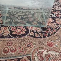 اکواریوم سالم  با ابعاد متوسط و زیبا