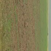 قطعات-ایثارگران