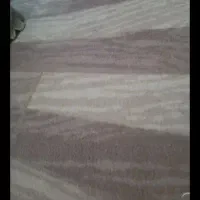 موکت ۲۴متری نمدی