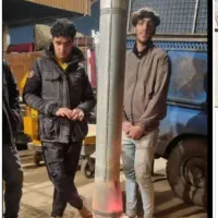 بخاری جنگلی ساحلی باغی کوهی کارخانه ای هیزمی