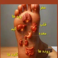 خدمات ریلکسیشن و آرامش بدن|خدمات آرایشگری و زیبایی|هشتگرد, هشتگرد قدیم|دیوار