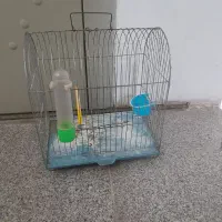 قفس کوچک|لوازم جانبی حیوانات|رشت, دیانتی|دیوار