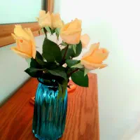 ۷ شاخه گل رز زرد