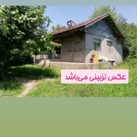 همخانه