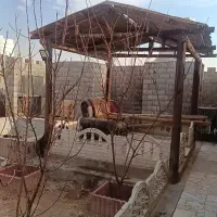 باغ-برای-رهن-و-اجاره-سالانه-حاجی-اباد