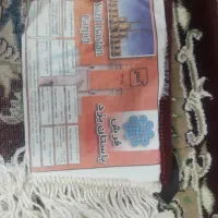 فرش 700شانه زمینه لاکی 2عدد|فرش|اردکان, |دیوار