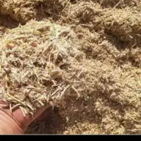 کفه گندم کاه گندم دار بار ضمانتی|لوازم جانبی حیوانات|تایباد, |دیوار