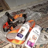 قلاده کتفی همراه شامپو روزانه و شامپو ضد انکل