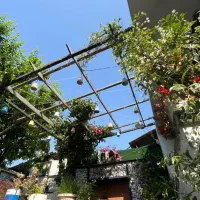 فروش ویلا220m با حیاطسازی شیک ودلباز/سندتک برگ|فروش خانه و ویلا|سرخرود, |دیوار