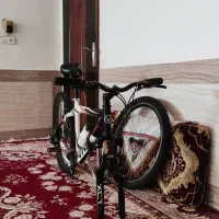 دوچرخه ویوا بدون خط و خش