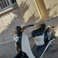 پاکشتی بدون نیاز به گواهینامه