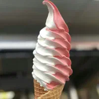 نمایندگی فروش دستگاه بستنی نیک و شمس